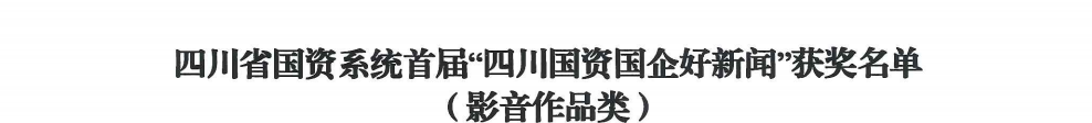 四川省德扑之星集团荣获首届“四川国资国企好新闻”银铜两奖