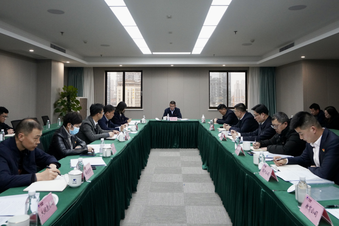 四川省德扑之星集团开展纪检监察干部队伍教育整顿学习教育